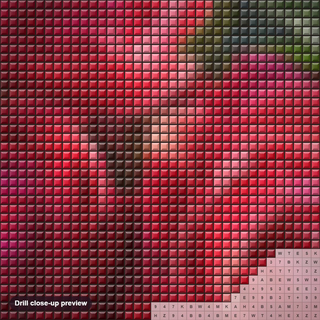 Close-up preview of the Red Roses & Humming Birds diamond painting with square 5D drills and printed canvas symbols