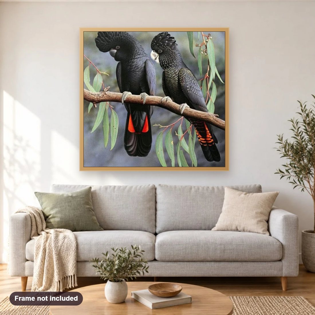 Red Tailed Black Cockatoo Pet diamond painting shown framed on a living room wall above a sofa