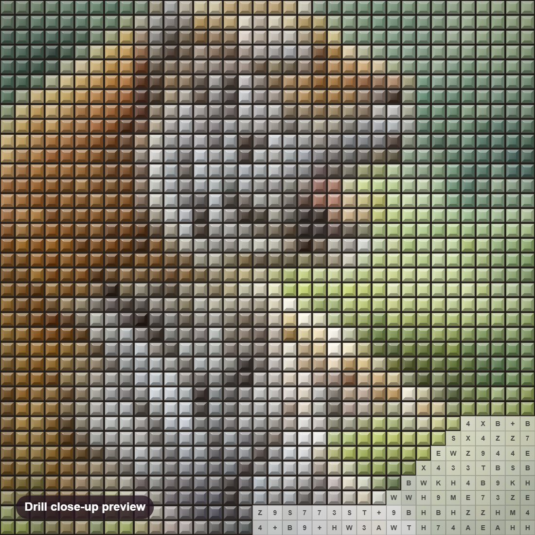 Close-up preview of the Resting Tiger diamond painting with square 5D drills and printed canvas symbols