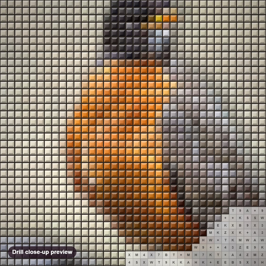 Close-up preview of the Robin diamond painting with square 5D drills and printed canvas symbols