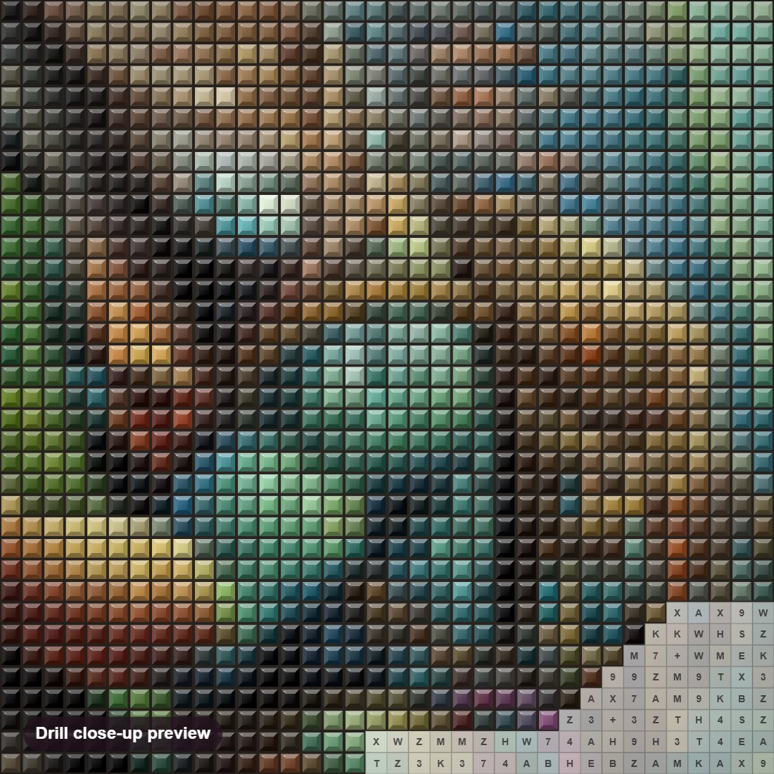 Close-up preview of the Rock Climbing Lguana diamond painting with square 5D drills and printed canvas symbols
