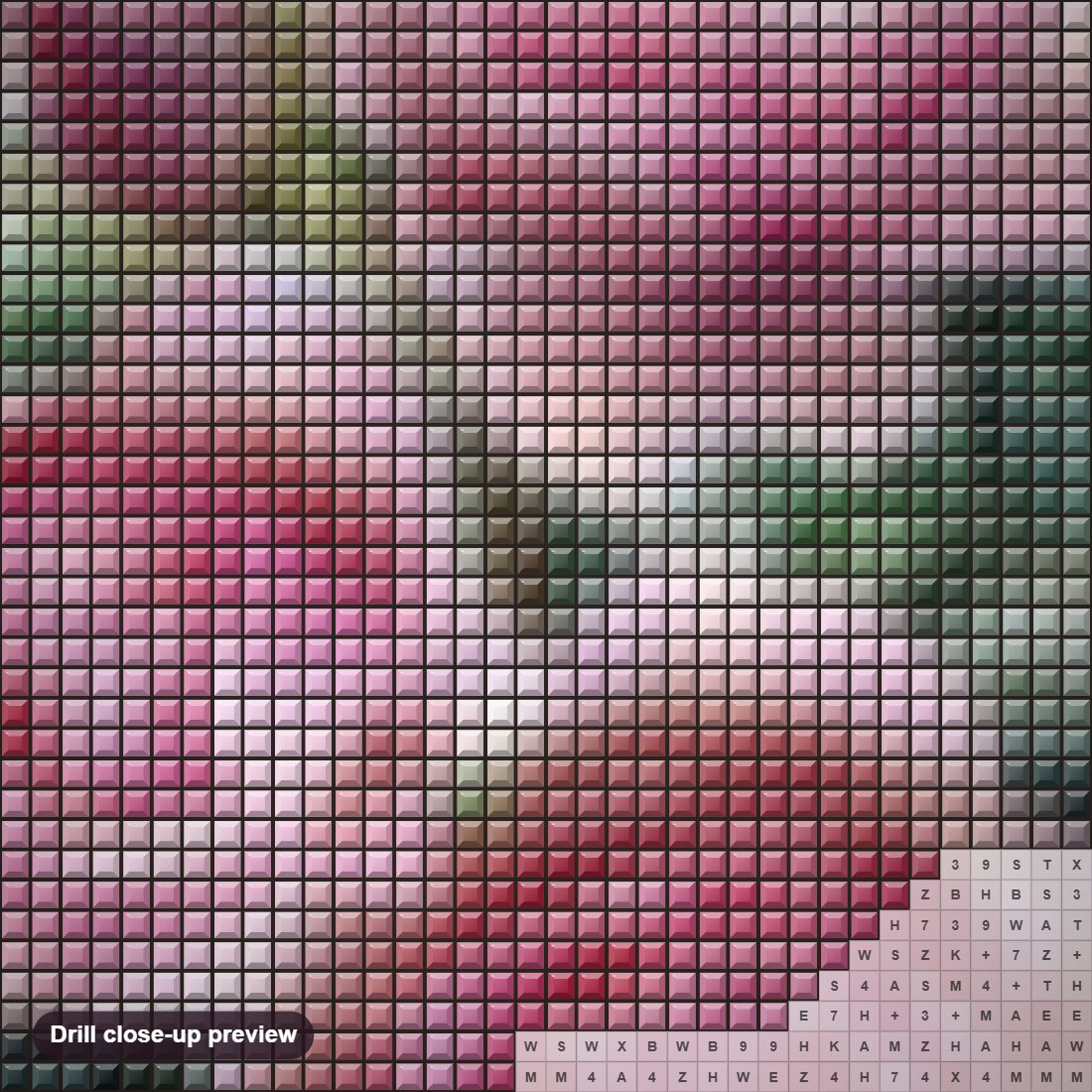 Close-up preview of the Rose Beauty diamond painting with square 5D drills and printed canvas symbols