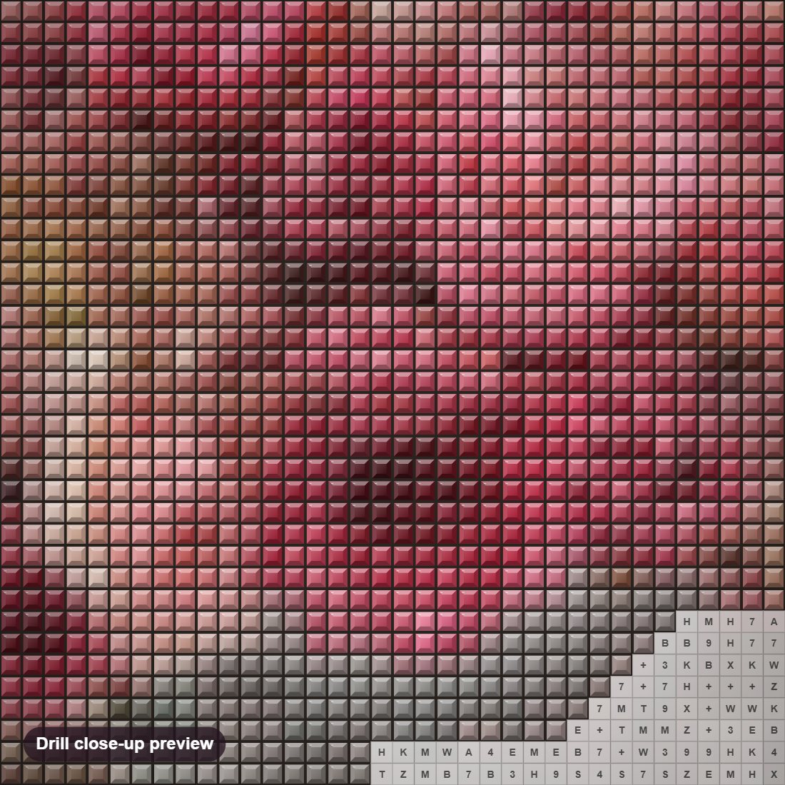 Close-up preview of the Roses diamond painting with square 5D drills and printed canvas symbols