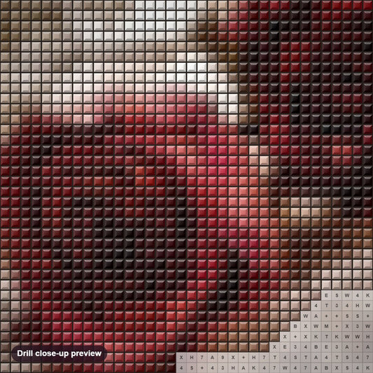 Close-up preview of the Roses diamond painting with square 5D drills and printed canvas symbols