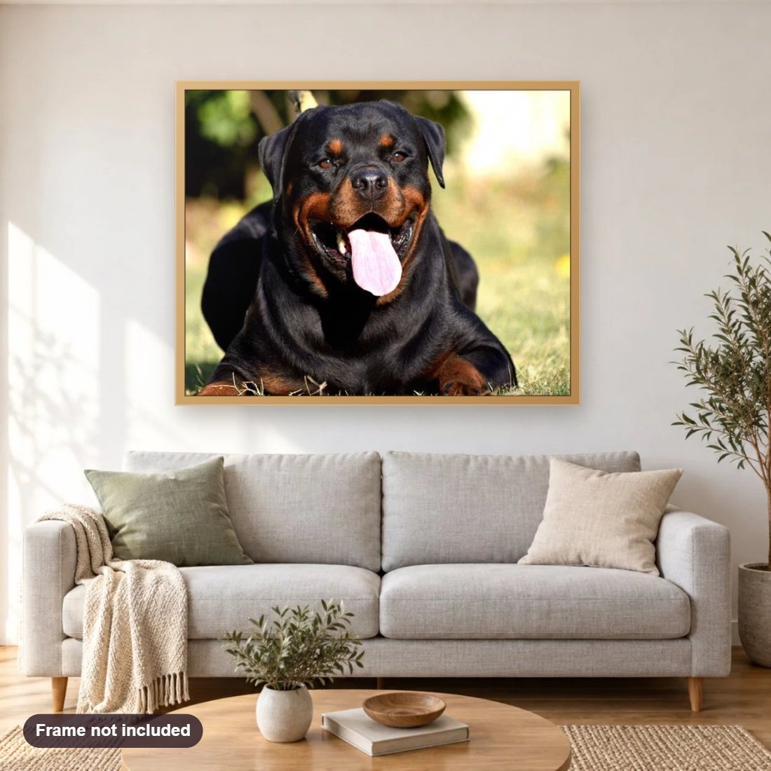 Rottweiler Yawning diamond painting shown framed on a living room wall above a sofa