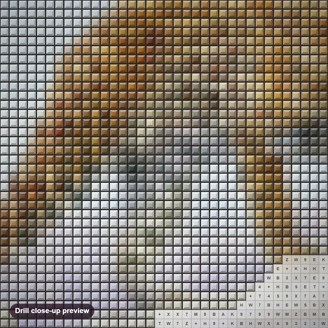 Close-up preview of the Ruckomechi Leopard diamond painting with square 5D drills and printed canvas symbols