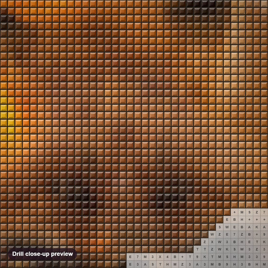 Close-up preview of the Sad Fox diamond painting with square 5D drills and printed canvas symbols