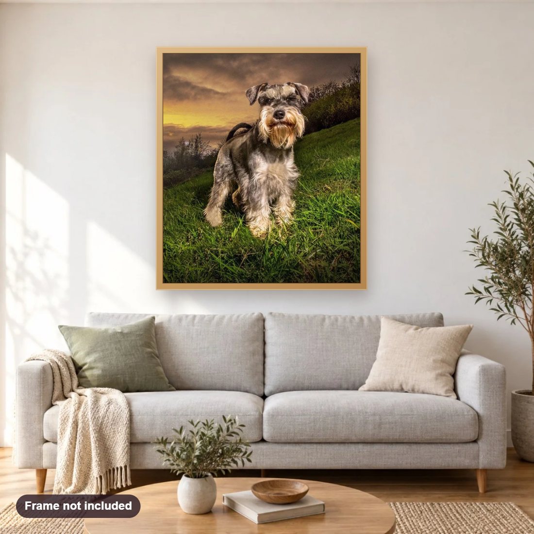 Schnauzer Dog diamond painting shown framed on a living room wall above a sofa