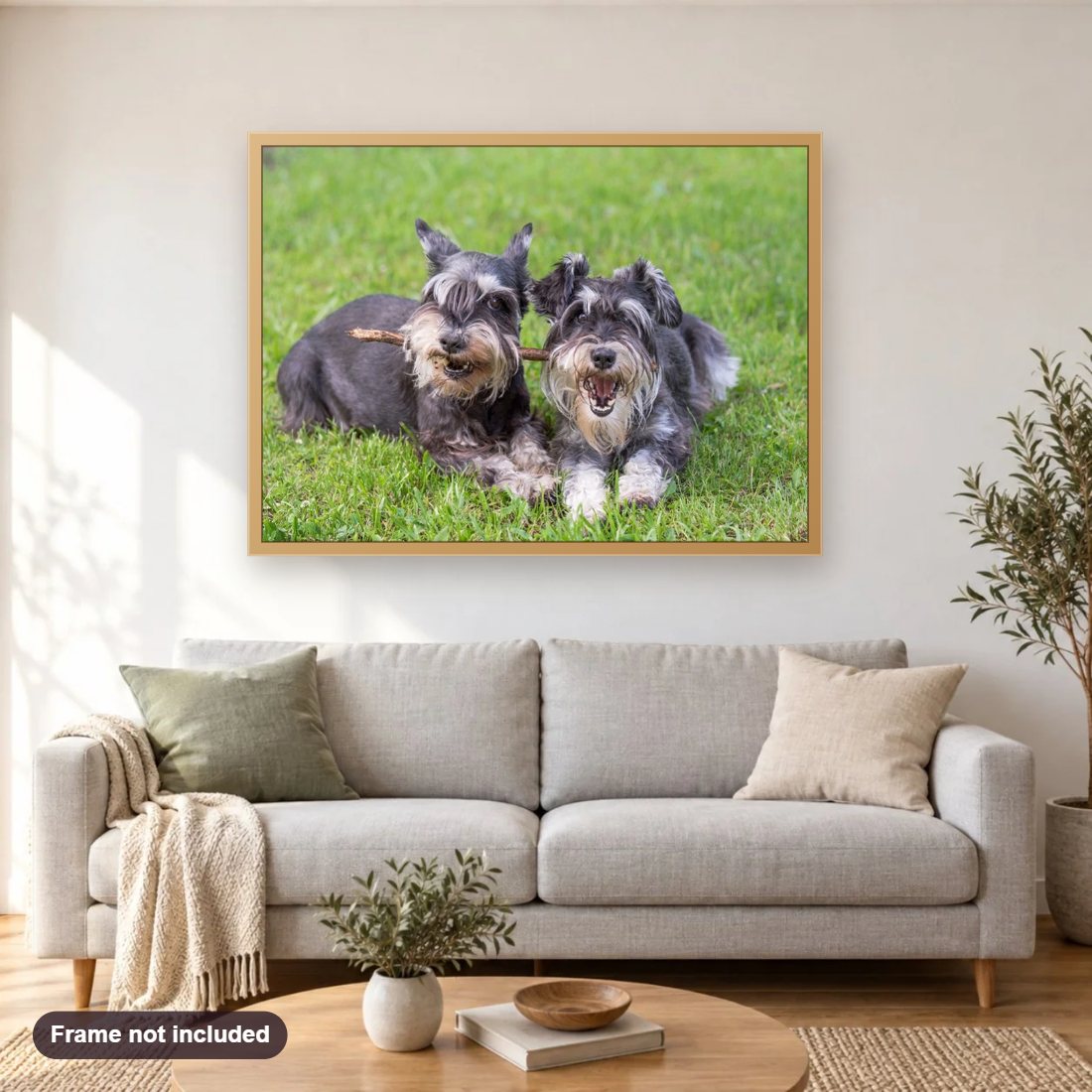 Schnauzer Lady & the Tramp Dogs diamond painting shown framed on a living room wall above a sofa