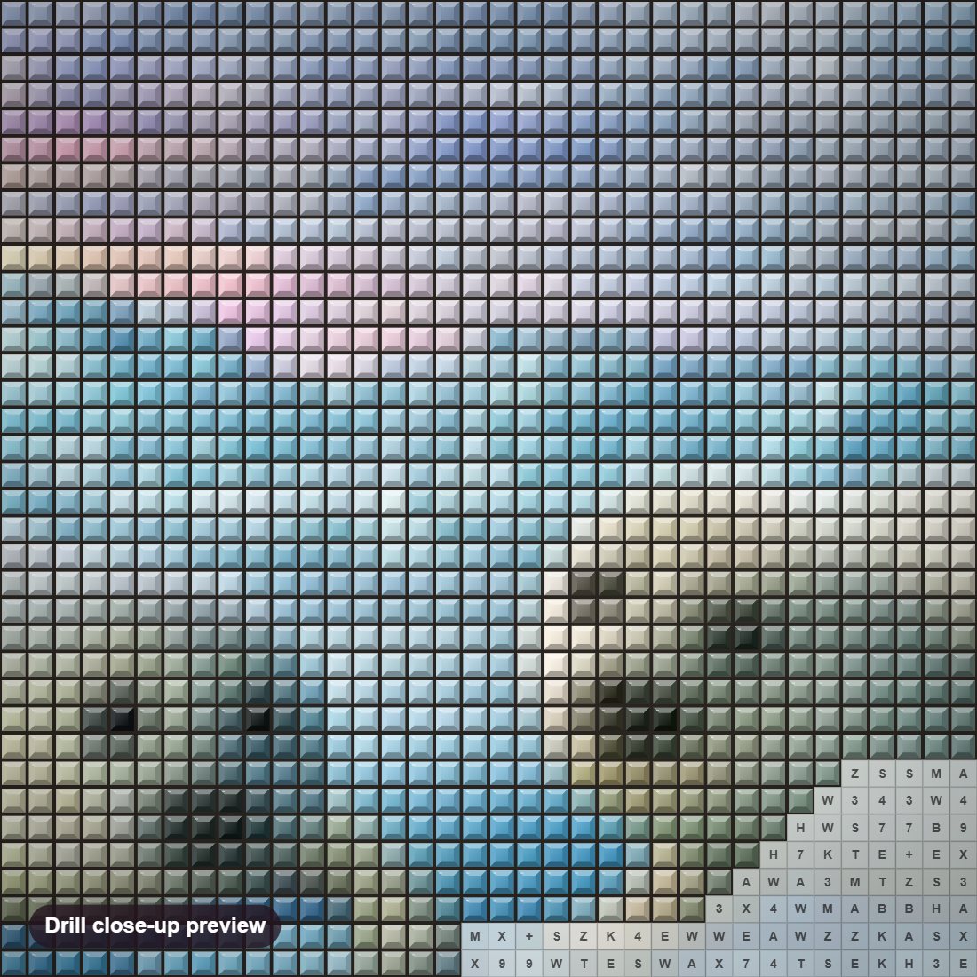 Close-up preview of the Seals Pair diamond painting with square 5D drills and printed canvas symbols