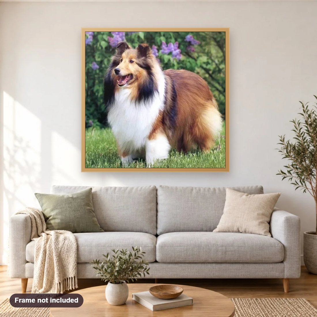 Sheltie diamond painting shown framed on a living room wall above a sofa