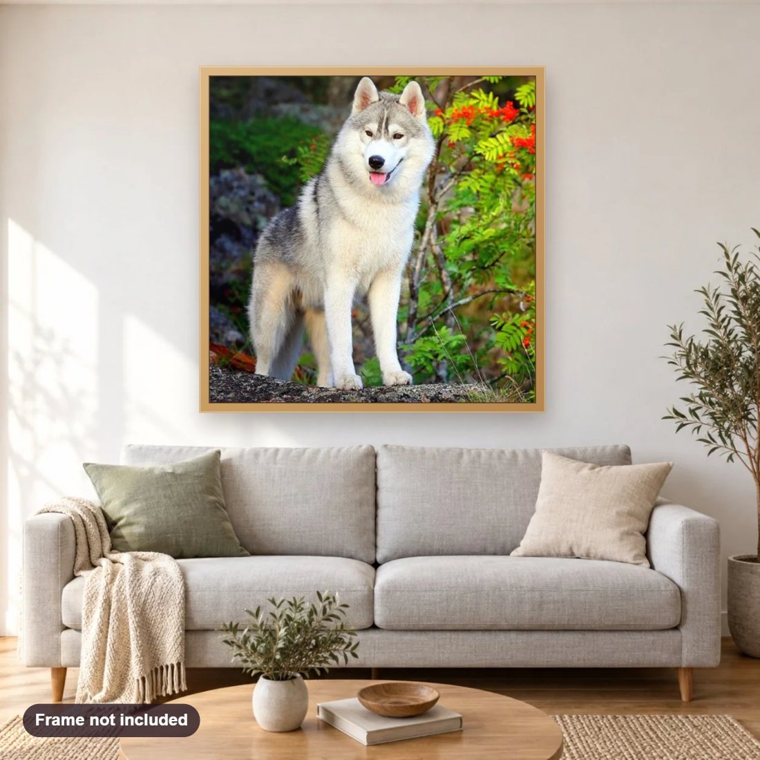 Siberian Husky diamond painting shown framed on a living room wall above a sofa