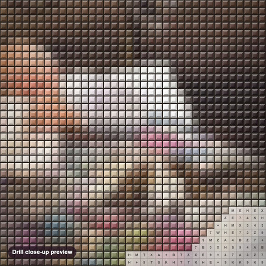 Close-up preview of the Sleeping Old Couple diamond painting with square 5D drills and printed canvas symbols