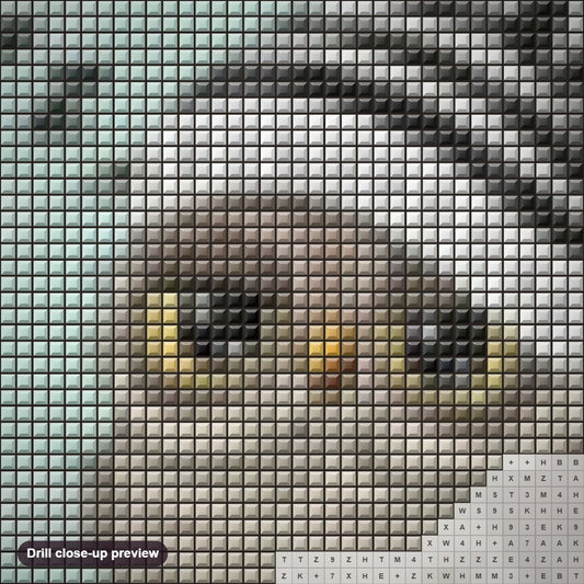 Close-up preview of the Sleepy Owl diamond painting with square 5D drills and printed canvas symbols