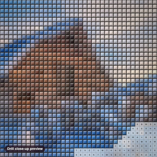 Close-up preview of the Snowy Cabin diamond painting with square 5D drills and printed canvas symbols