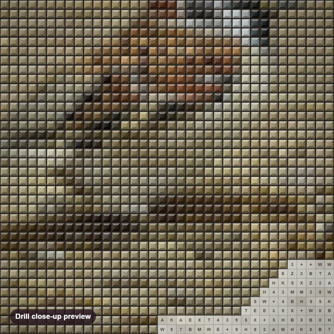 Close-up preview of the Sparrow diamond painting with square 5D drills and printed canvas symbols
