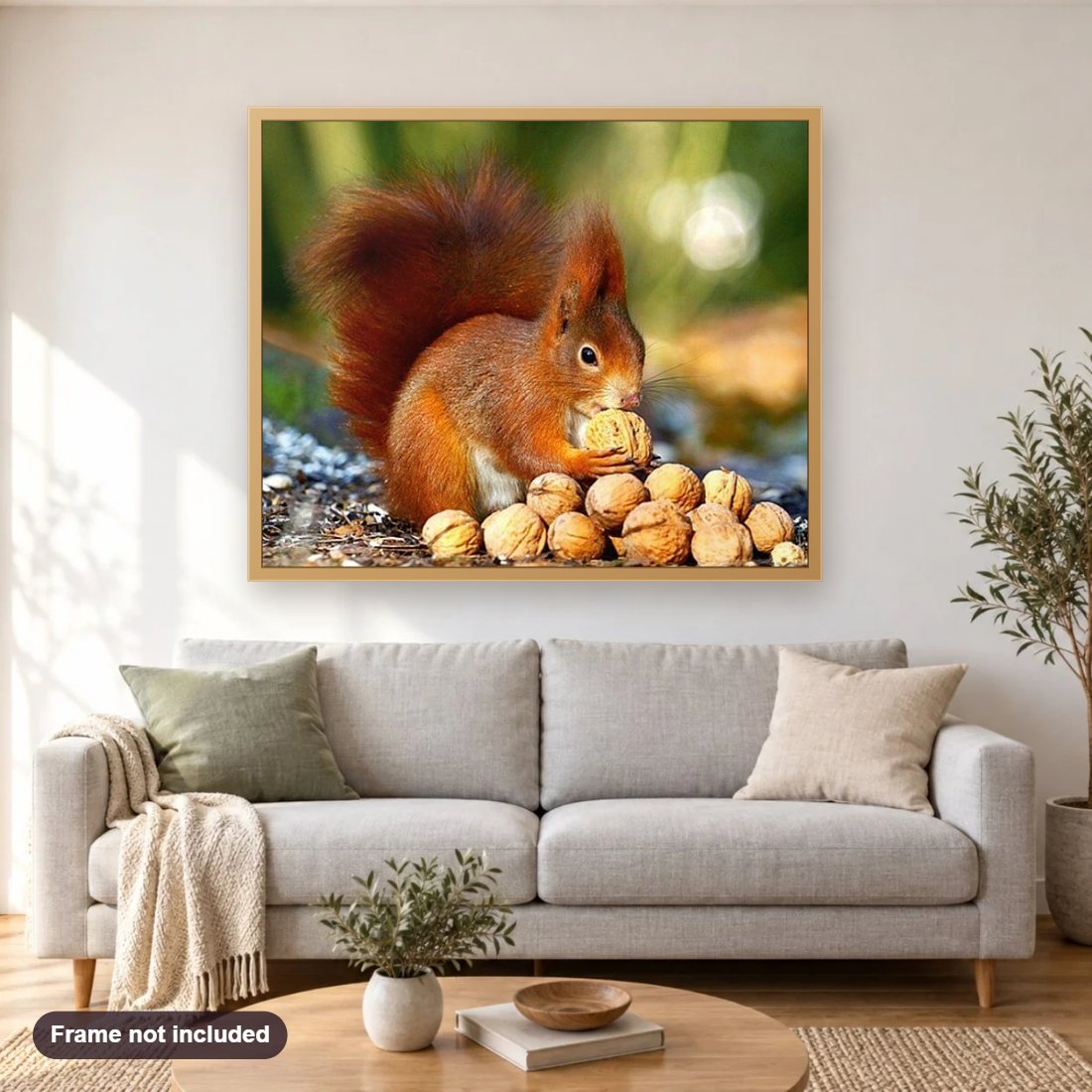 Squirrel eating Walnuts diamond painting shown framed on a living room wall above a sofa