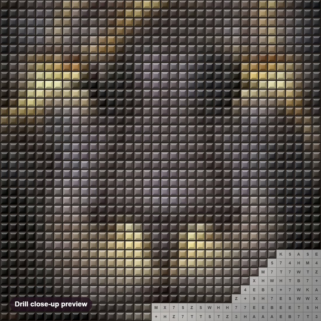 Close-up preview of the Stunning Black Lion diamond painting with square 5D drills and printed canvas symbols