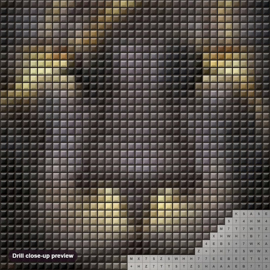Close-up preview of the Stunning Black Lion diamond painting with square 5D drills and printed canvas symbols
