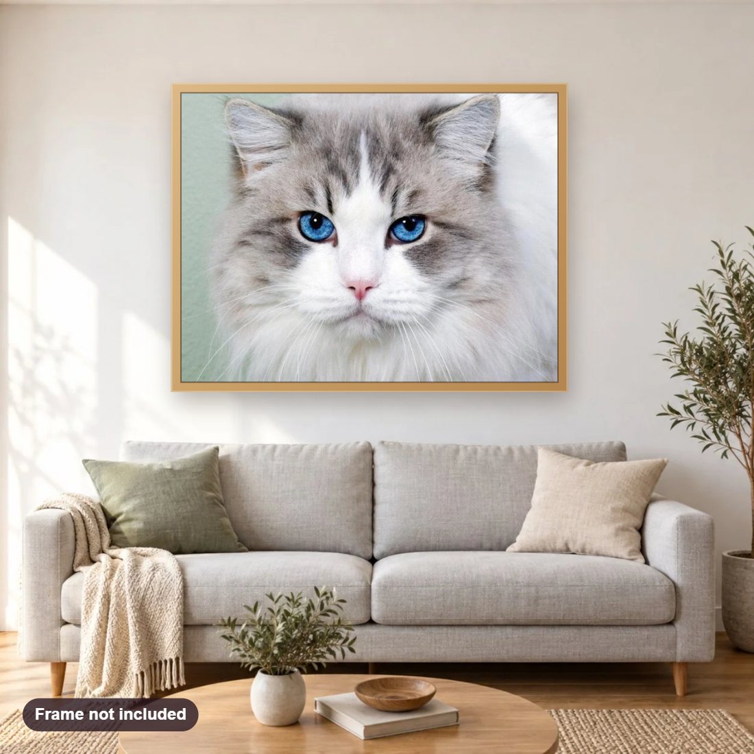 Stunning Cat with Blue Eyes diamond painting shown framed on a living room wall above a sofa