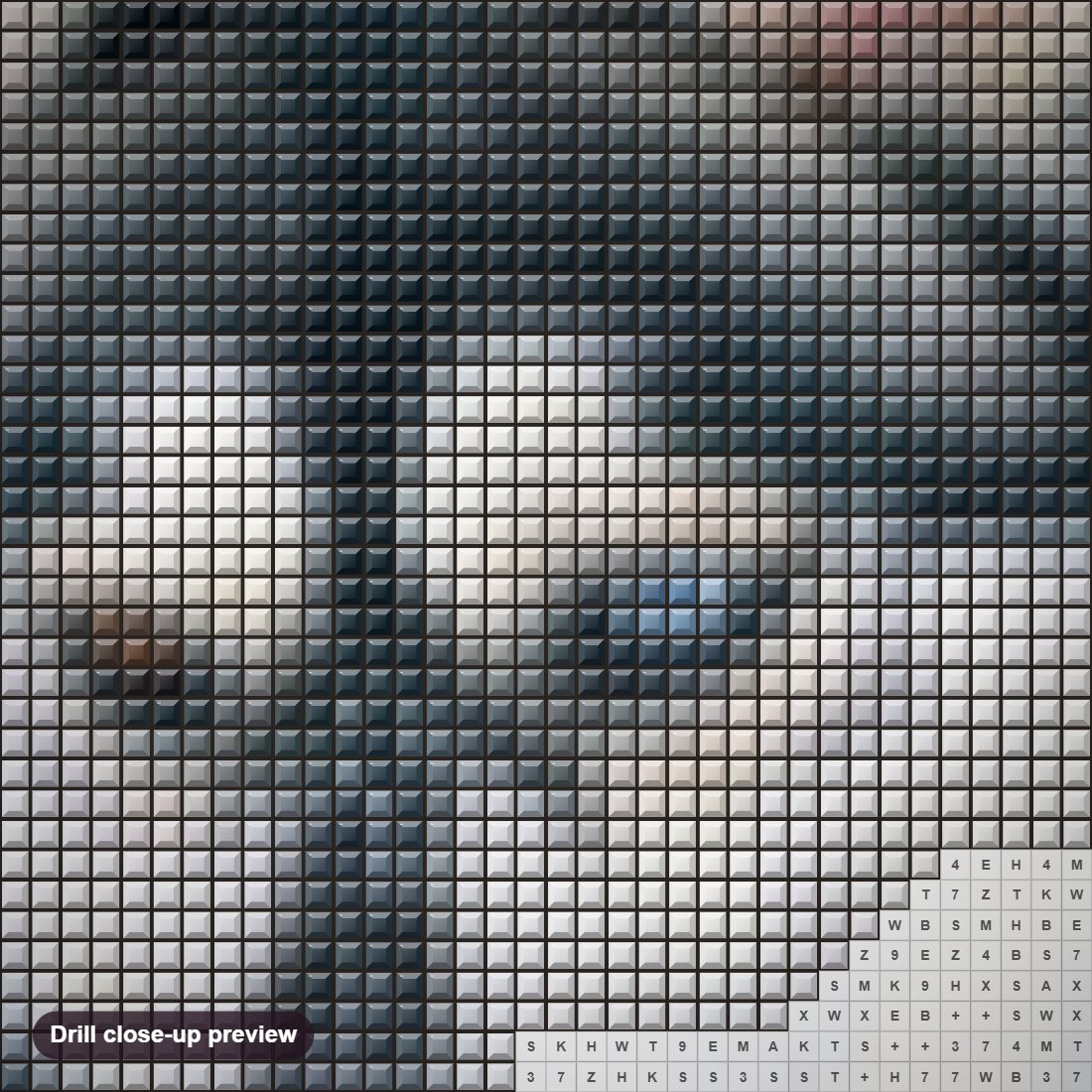 Close-up preview of the Stunning Husky with Different Colored Eyes diamond painting with square 5D drills and printed canvas symbols