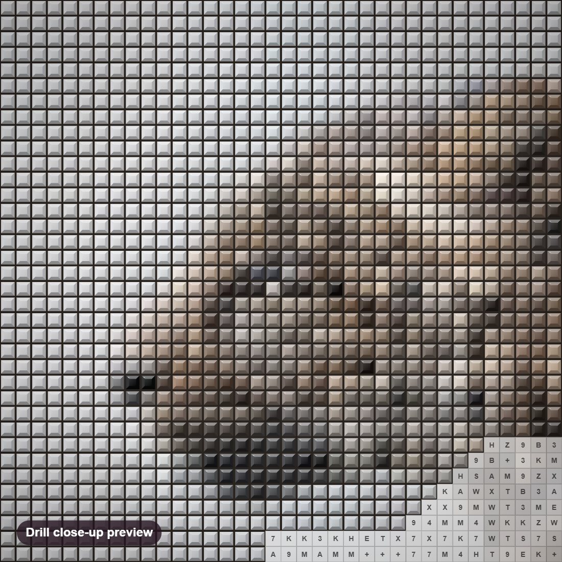 Close-up preview of the Stunning Jaguar diamond painting with square 5D drills and printed canvas symbols