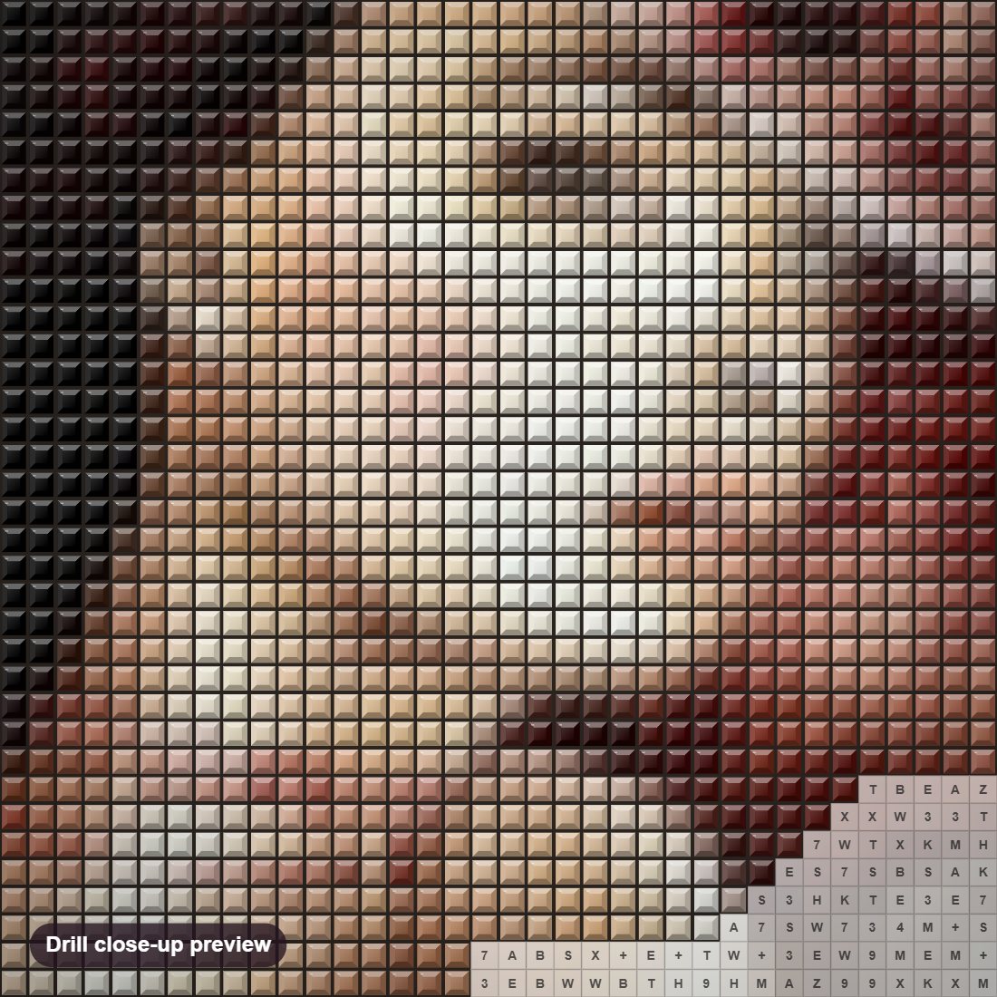 Close-up preview of the Stunning Lady diamond painting with square 5D drills and printed canvas symbols