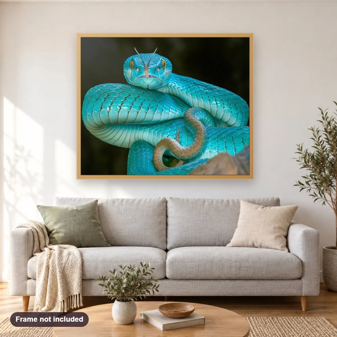 Sundas Lesser Island Pit Viper diamond painting shown framed on a living room wall above a sofa