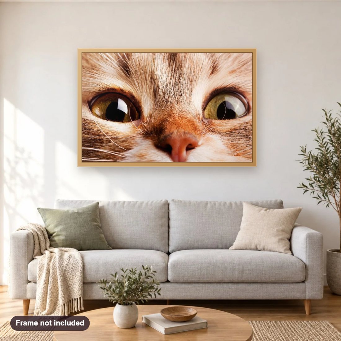 Super Cute Cat with Bubble Eyes diamond painting shown framed on a living room wall above a sofa