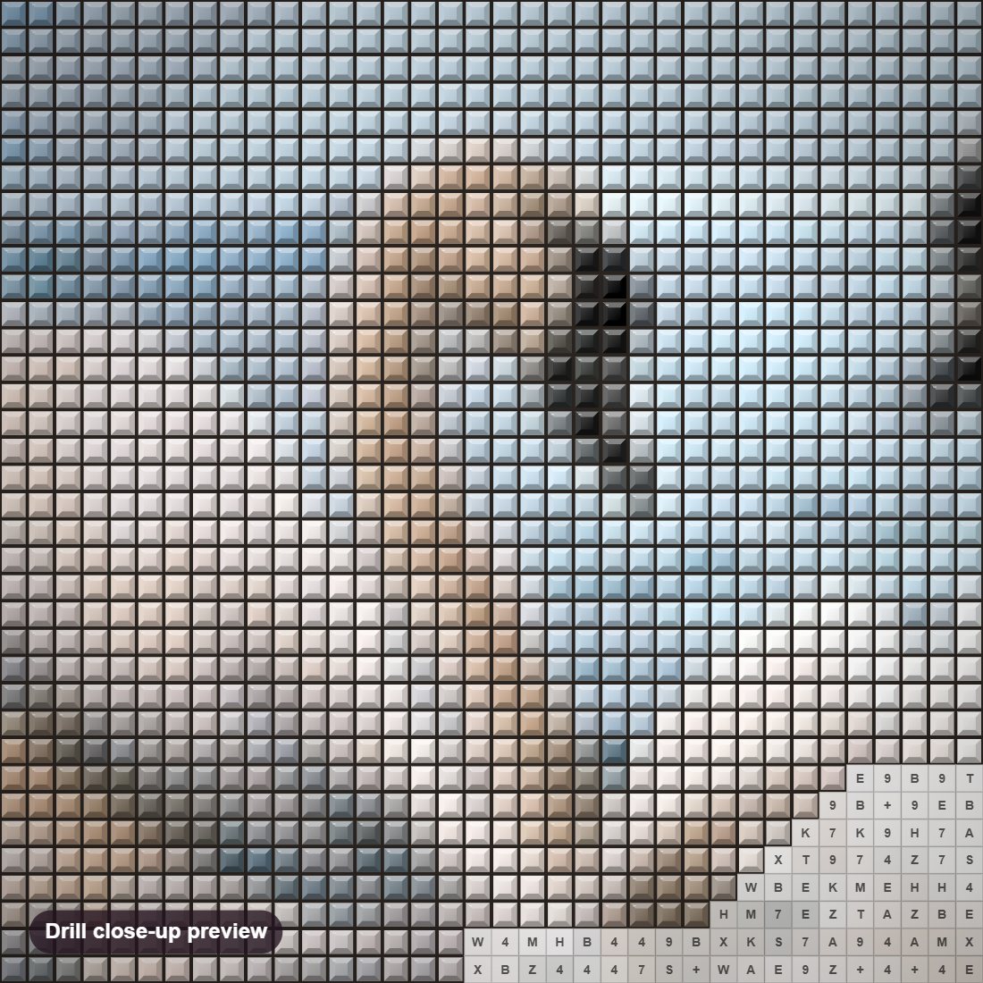 Close-up preview of the Swans Pair in Water diamond painting with square 5D drills and printed canvas symbols