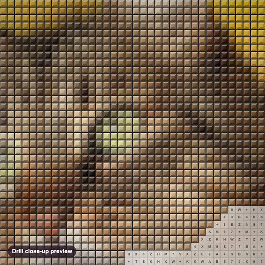 Close-up preview of the Sweet Cat with Staring Eyes diamond painting with square 5D drills and printed canvas symbols