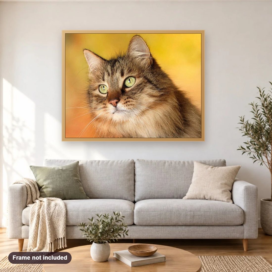 Sweet Cat with Staring Eyes diamond painting shown framed on a living room wall above a sofa
