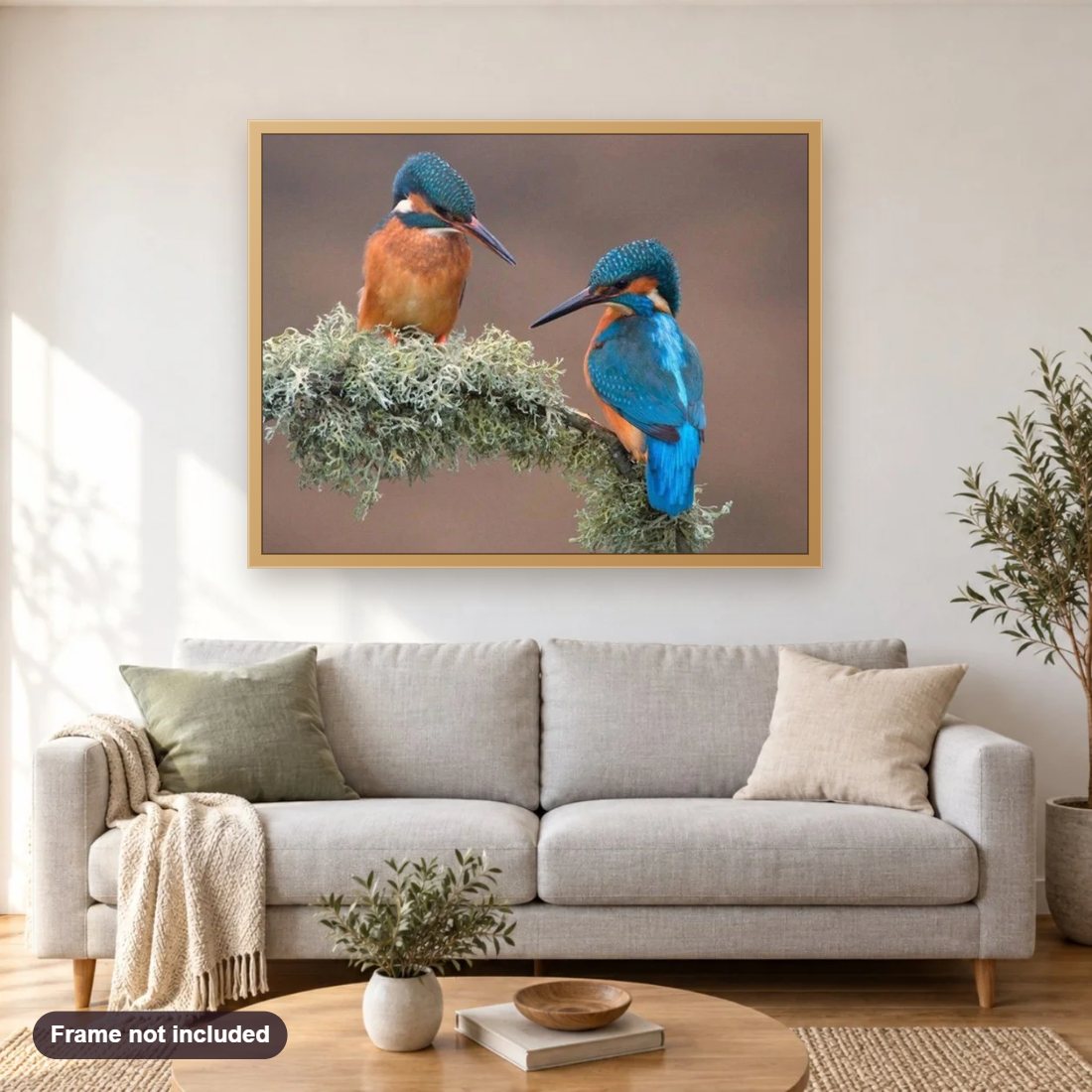 Sweet Kingfisher Pair diamond painting shown framed on a living room wall above a sofa