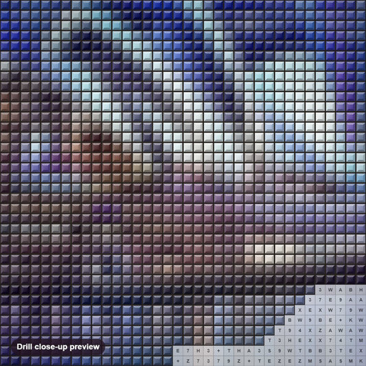 Close-up preview of the Sydney Opera House diamond painting with square 5D drills and printed canvas symbols