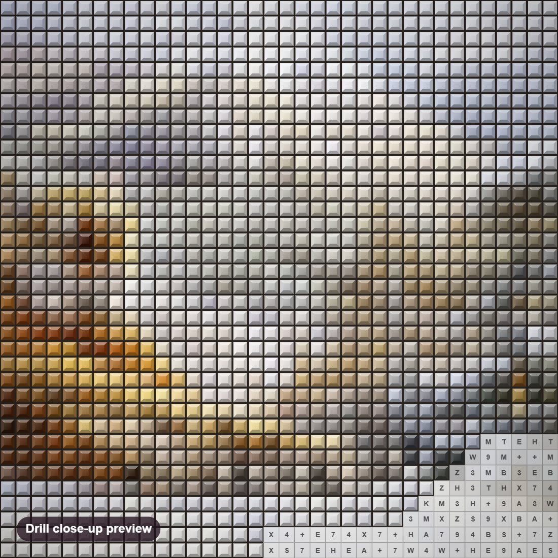 Close-up preview of the Taiga Tiger diamond painting with square 5D drills and printed canvas symbols