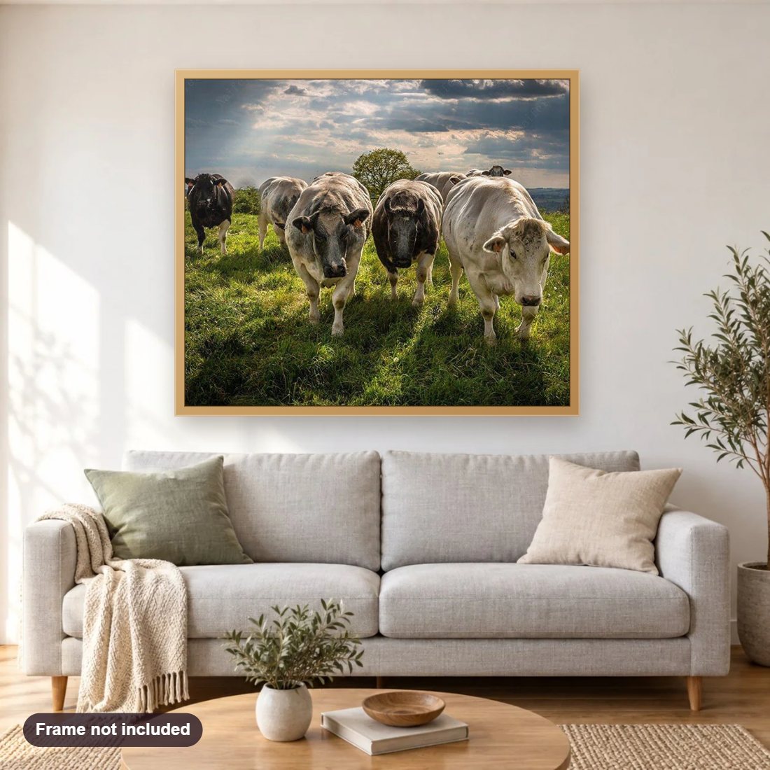 Taurine Cattle diamond painting shown framed on a living room wall above a sofa
