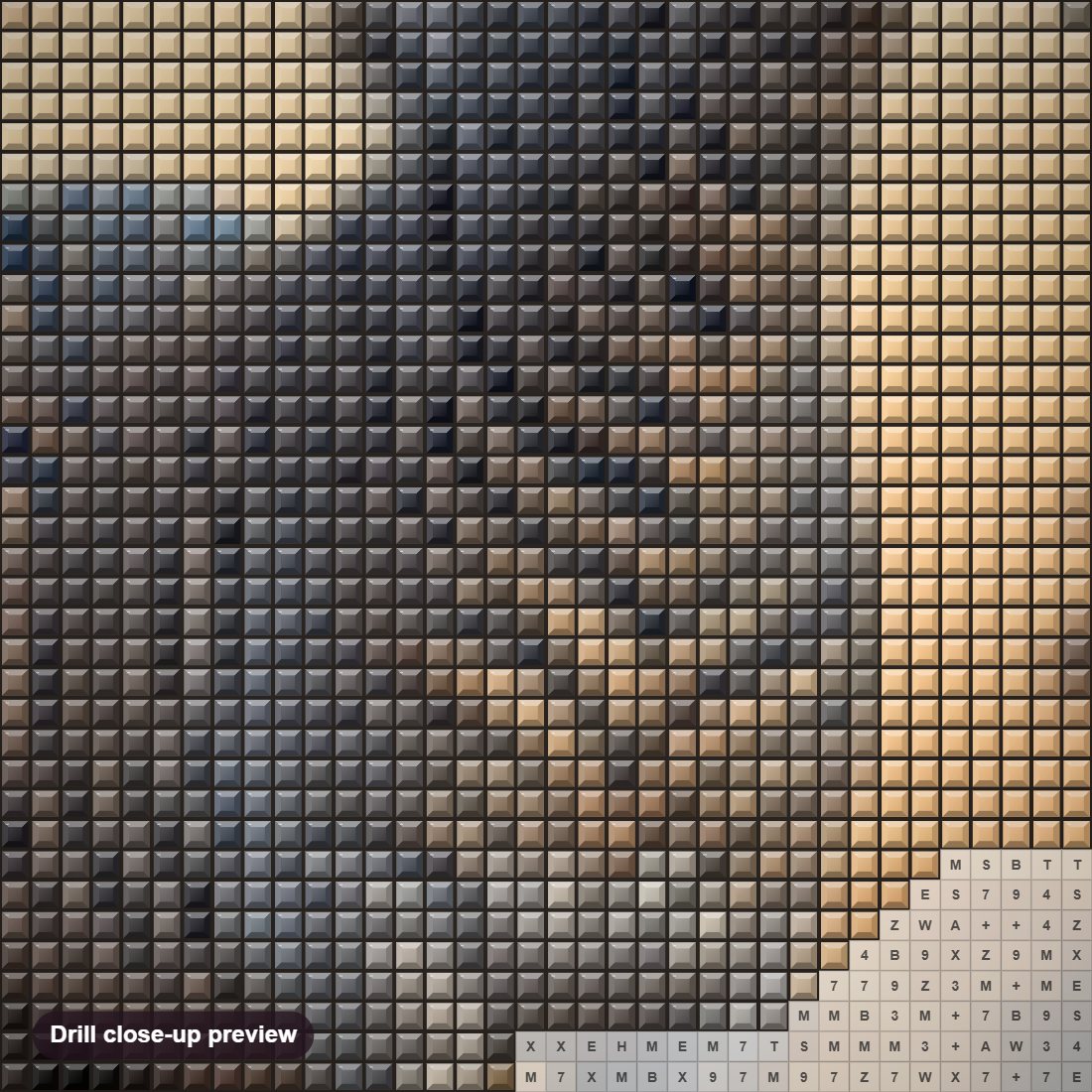 Close-up preview of the The Dazzling Beauty of Zebra diamond painting with square 5D drills and printed canvas symbols