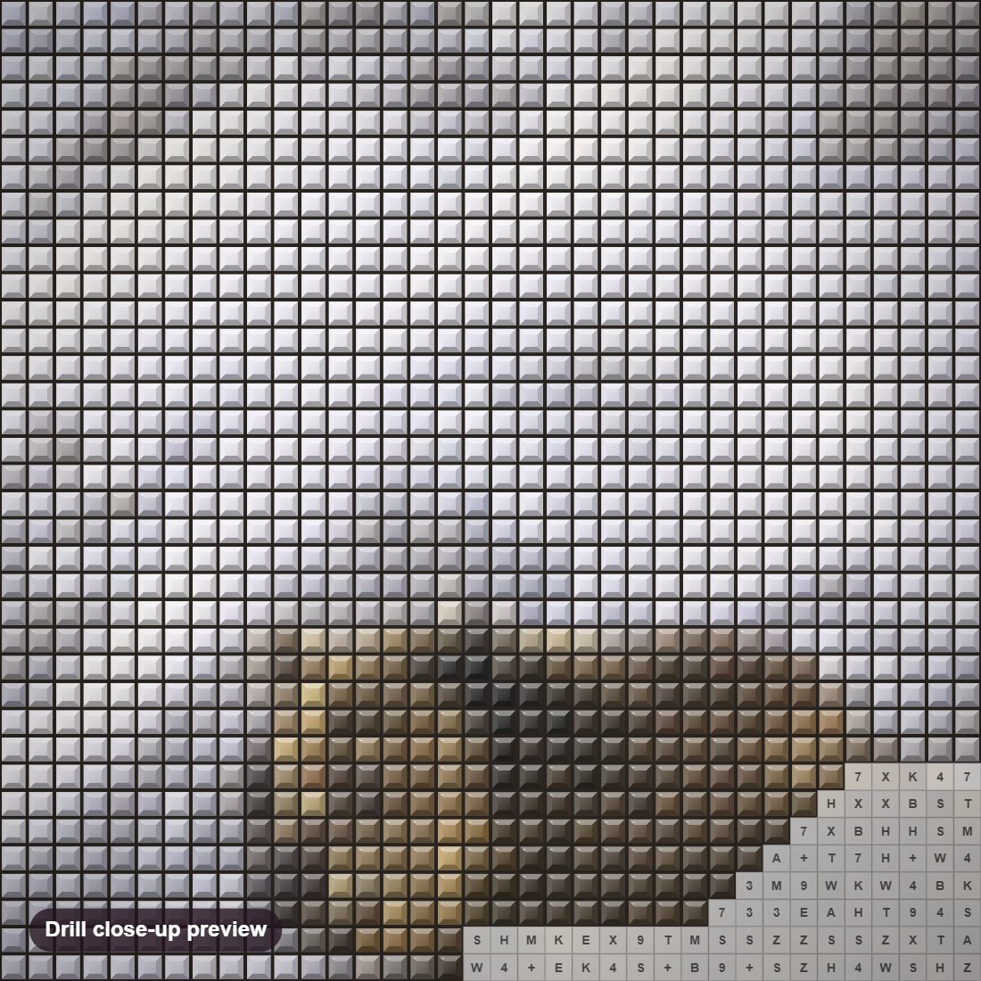 Close-up preview of the The Old Man of the Mountain diamond painting with square 5D drills and printed canvas symbols