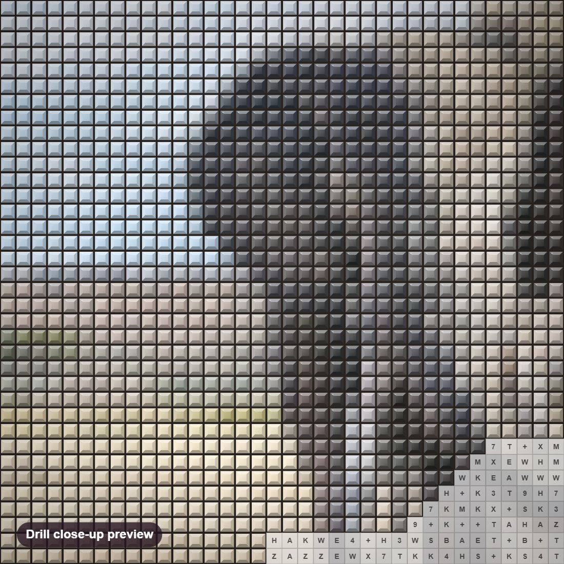 Close-up preview of the The Warrior diamond painting with square 5D drills and printed canvas symbols
