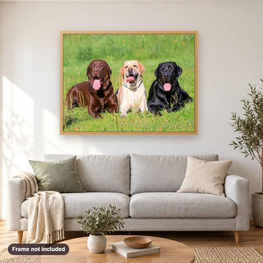 Three Labrador Retrievers diamond painting shown framed on a living room wall above a sofa