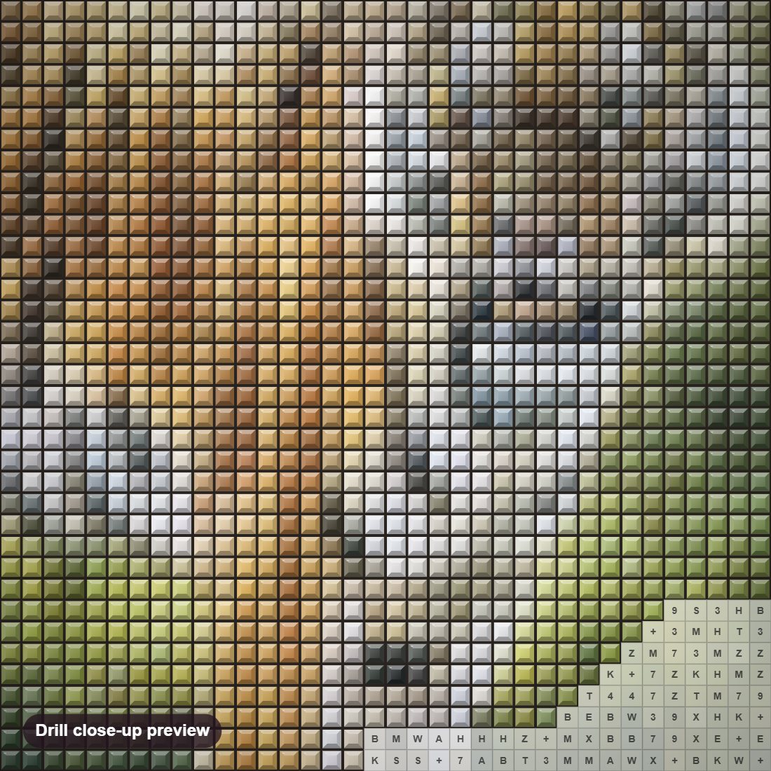 Close-up preview of the Tiger in Chitwan diamond painting with square 5D drills and printed canvas symbols