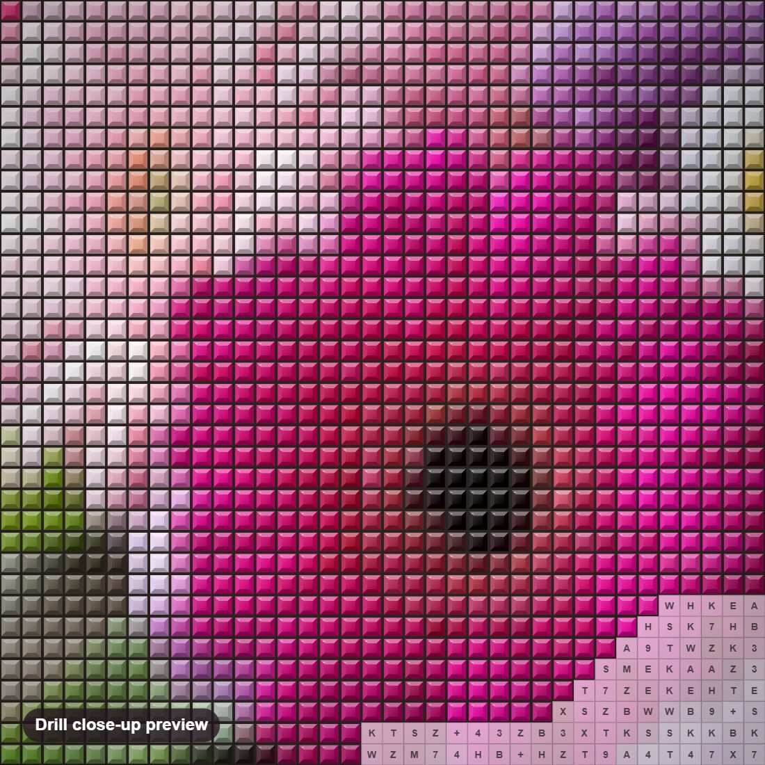 Close-up preview of the Transvaal Daisies diamond painting with square 5D drills and printed canvas symbols