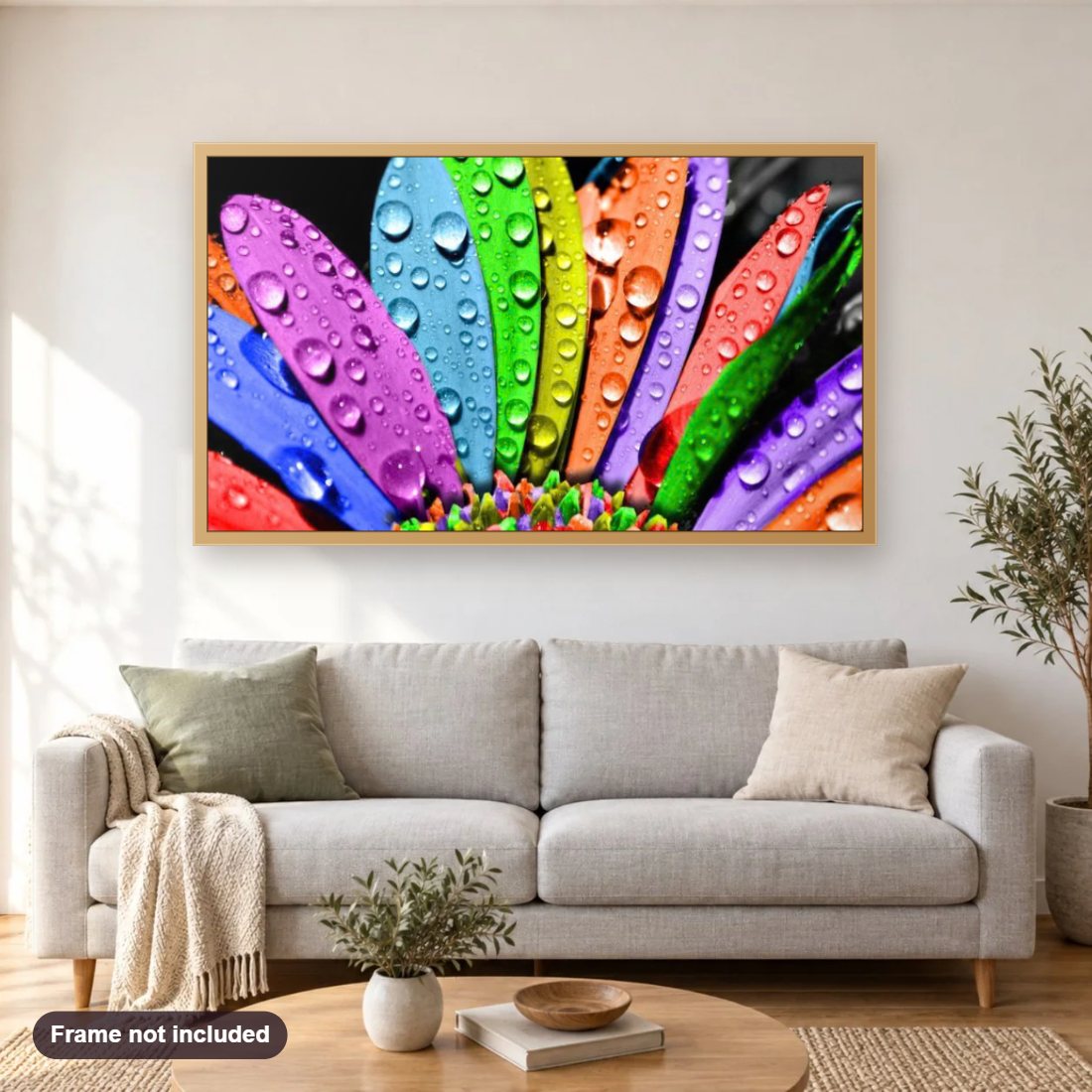 Water Drops on Colorful Flower Petals diamond painting shown framed on a living room wall above a sofa