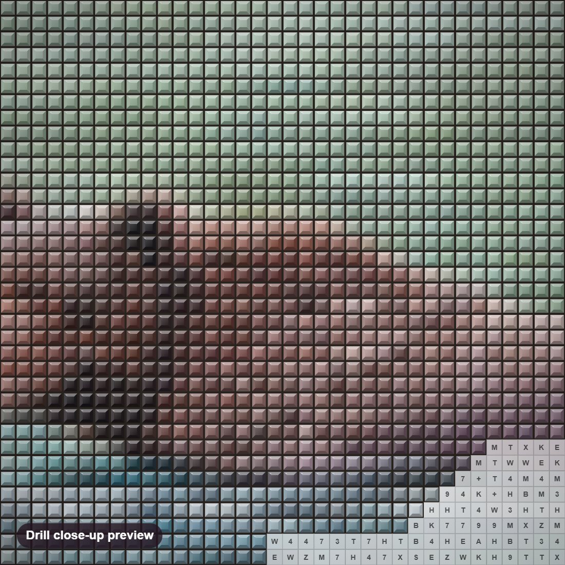 Close-up preview of the Wet n' Wild diamond painting with square 5D drills and printed canvas symbols