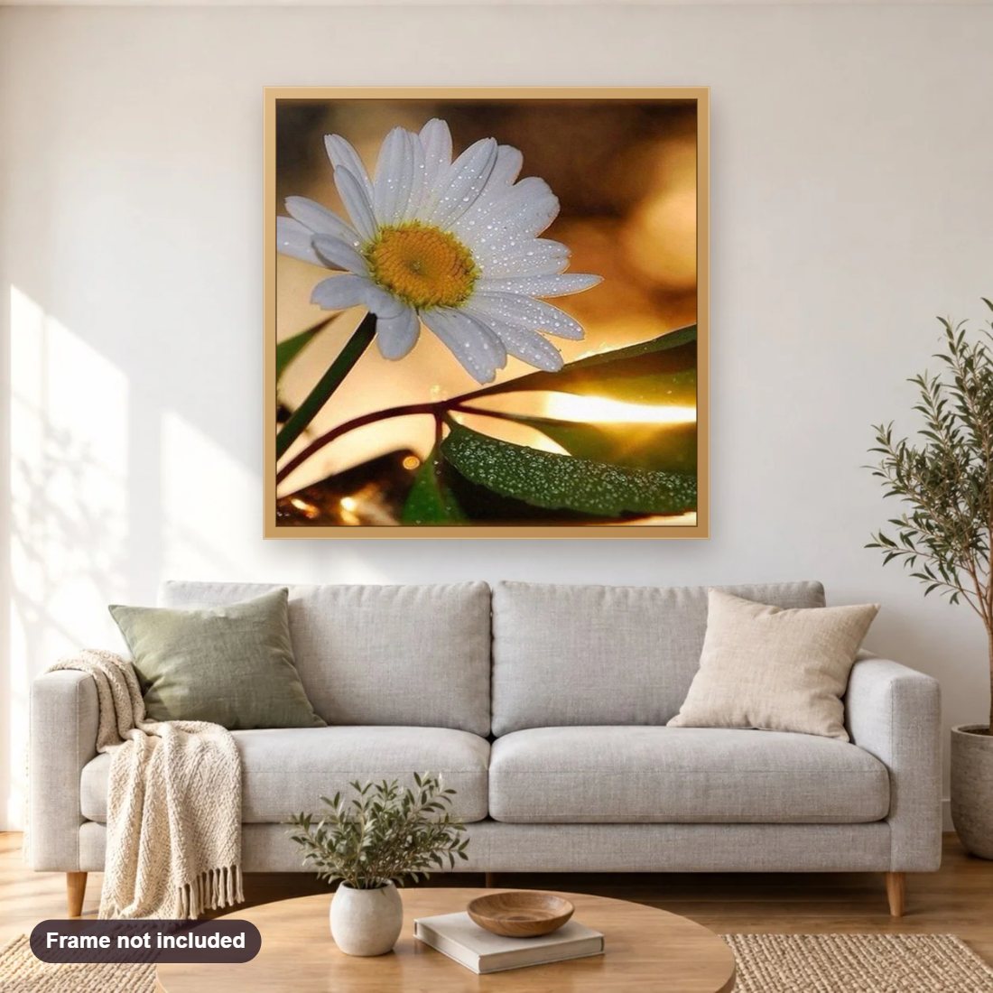 White Daisy with Dew Drops diamond painting shown framed on a living room wall above a sofa