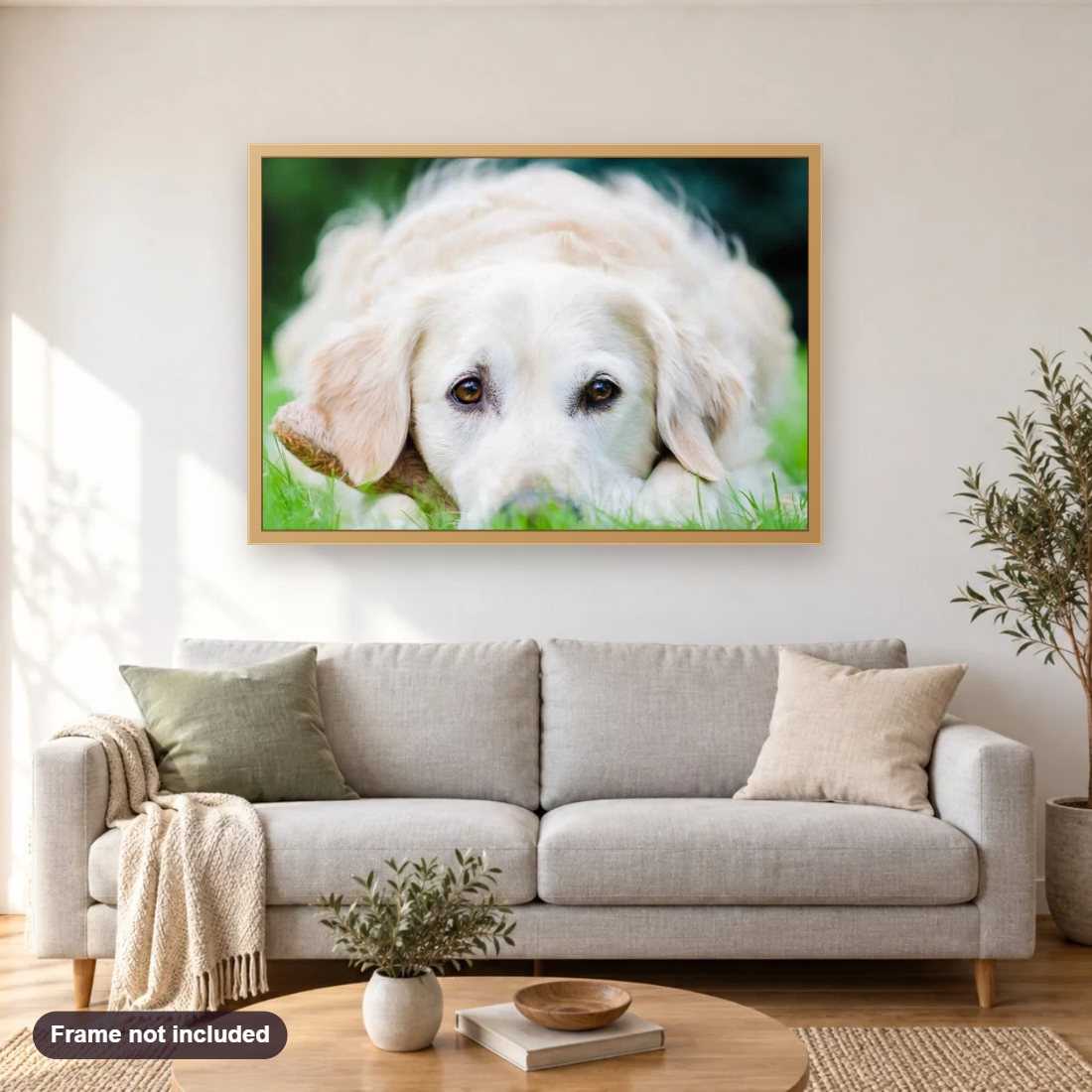 White Golden Retriever Puppy diamond painting shown framed on a living room wall above a sofa