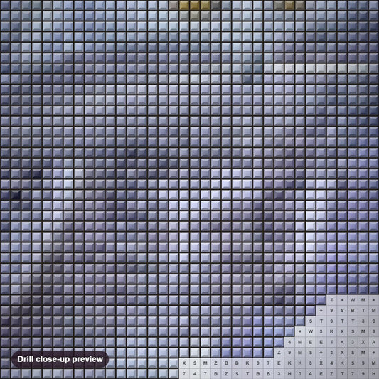 Close-up preview of the White Owl diamond painting with square 5D drills and printed canvas symbols