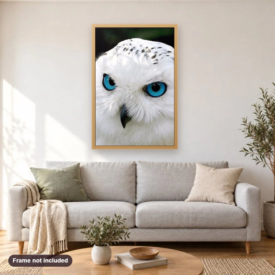White Owl with Blue Eyes diamond painting shown framed on a living room wall above a sofa