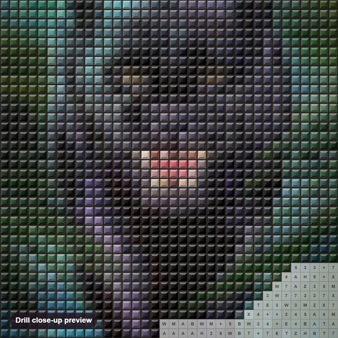 Close-up preview of the Wild Black Panther diamond painting with square 5D drills and printed canvas symbols