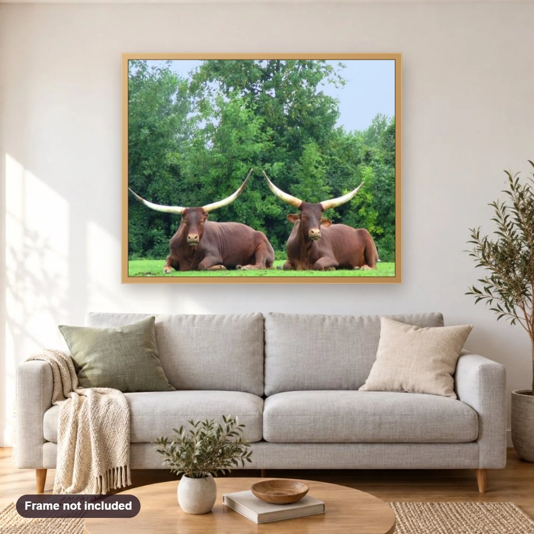 Wild Buffalo Pair diamond painting shown framed on a living room wall above a sofa